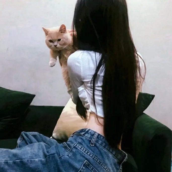 完美配对谋杀案